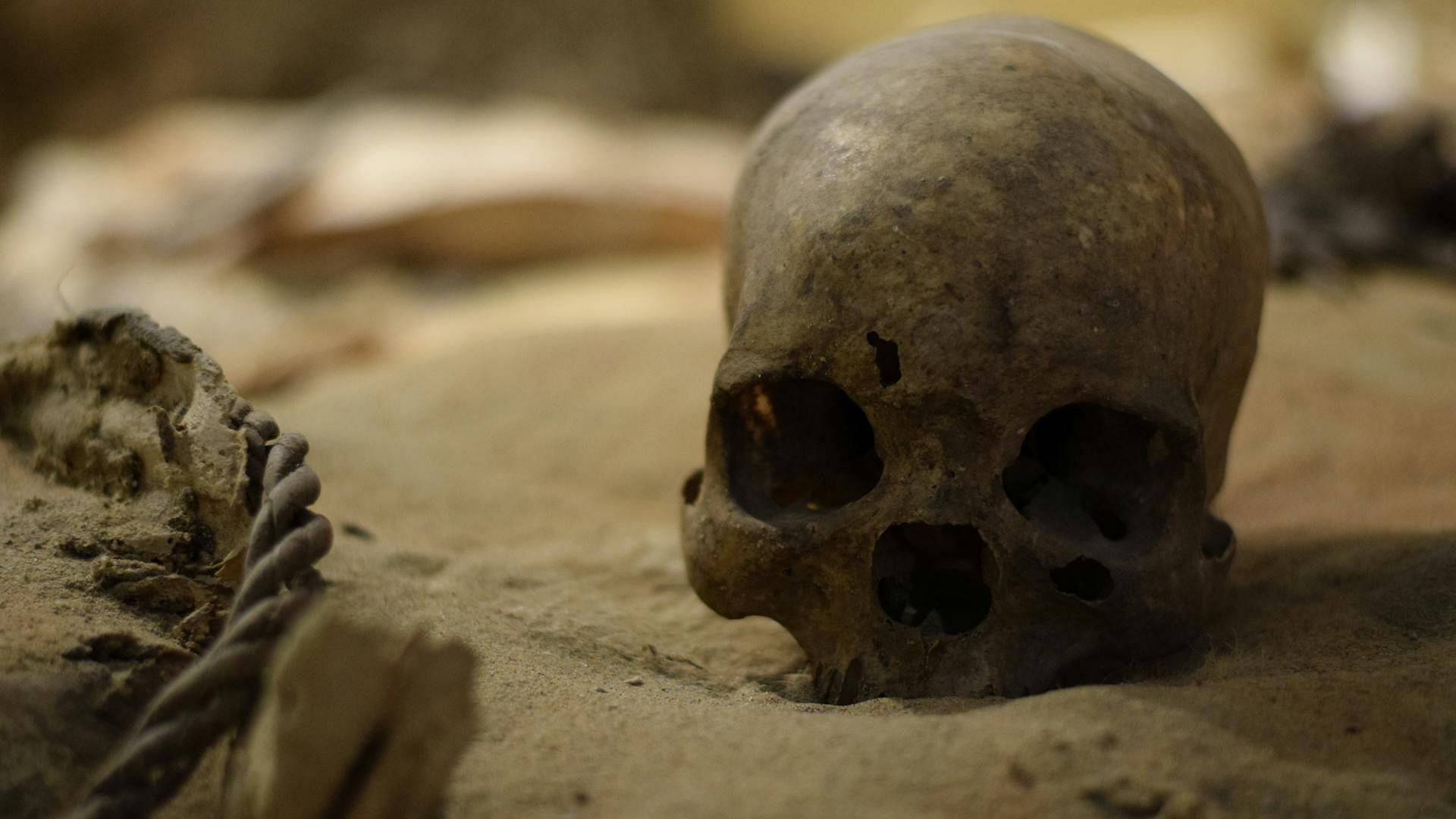 Several unidentified body remains were discovered near Highway 20 (Representative image via Pexels)